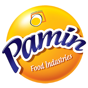 Logo Pamin Industrial Group