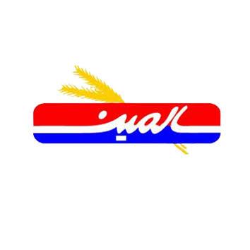 Salemin