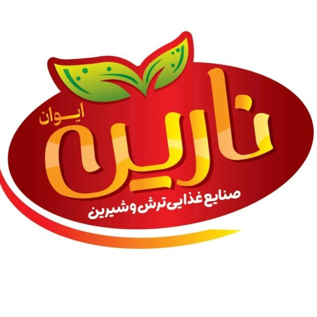 لوگوی نارین