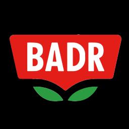 Logo — Badr