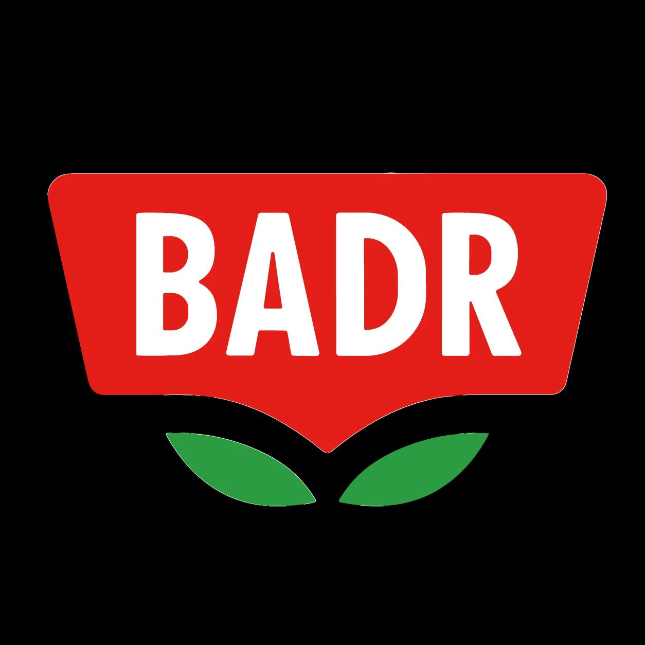 Badr