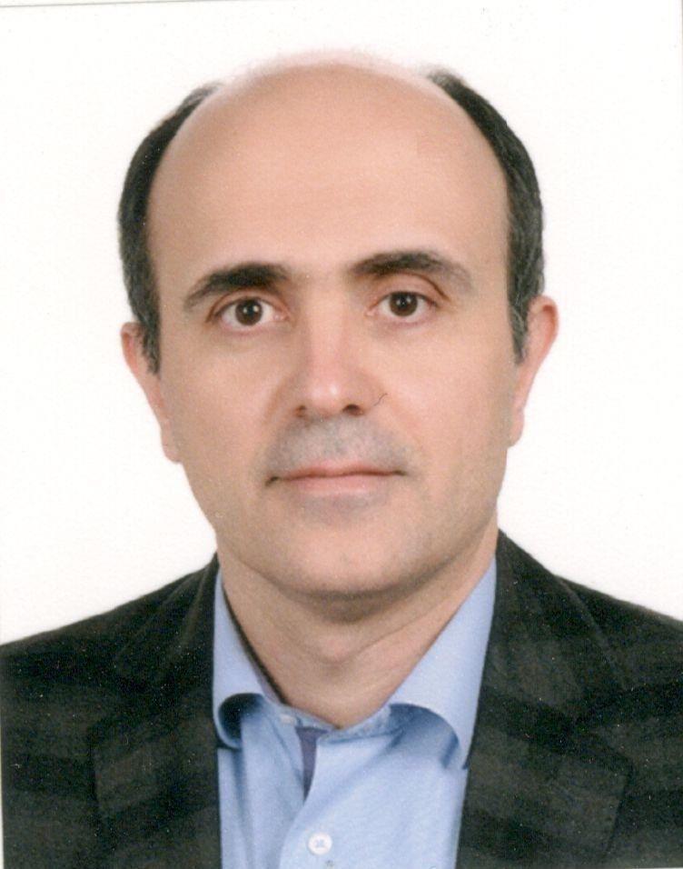 مهدی تولیت