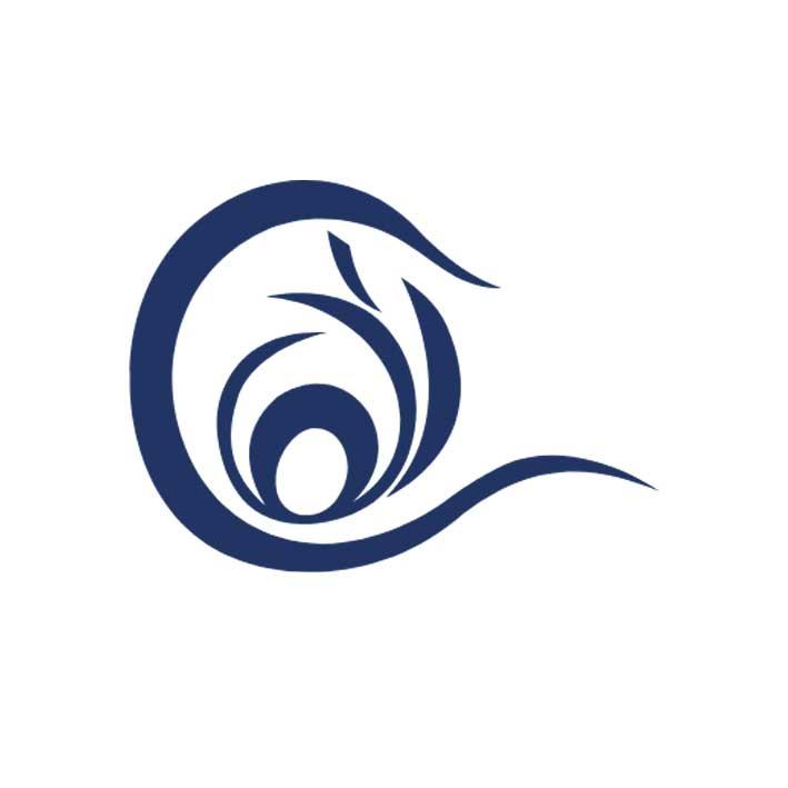 Logo Raga Parsian Plast
