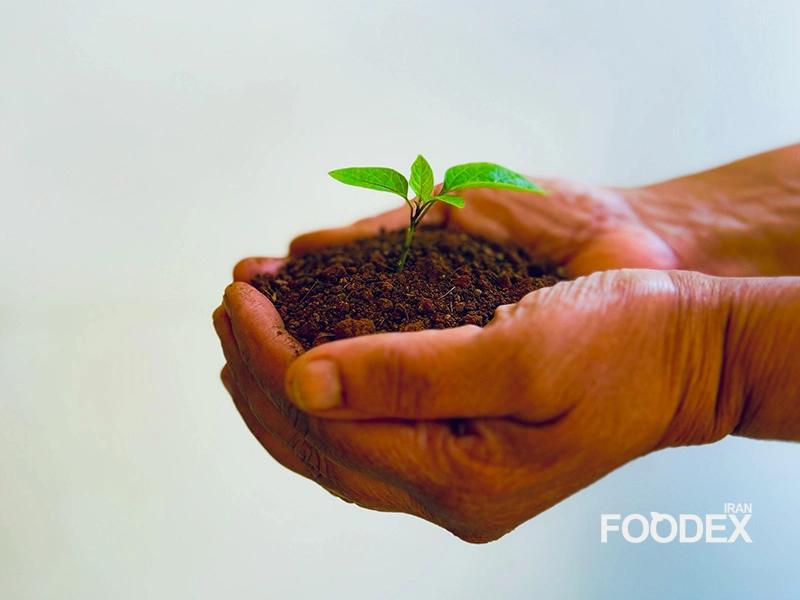 Green Investment in the Food Industry