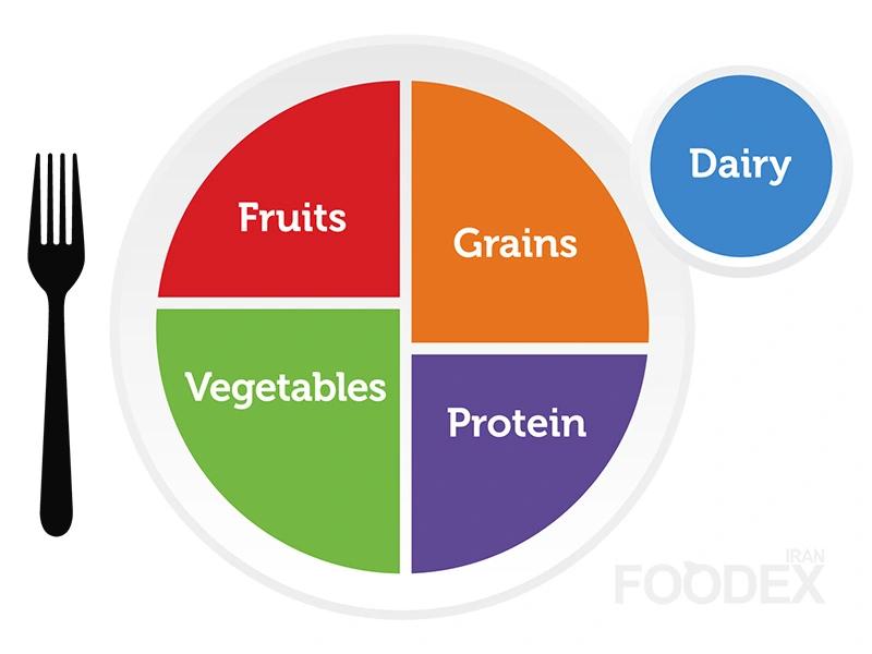 Understanding MyPlate: USDA Guide & Iranian Diet Comparison