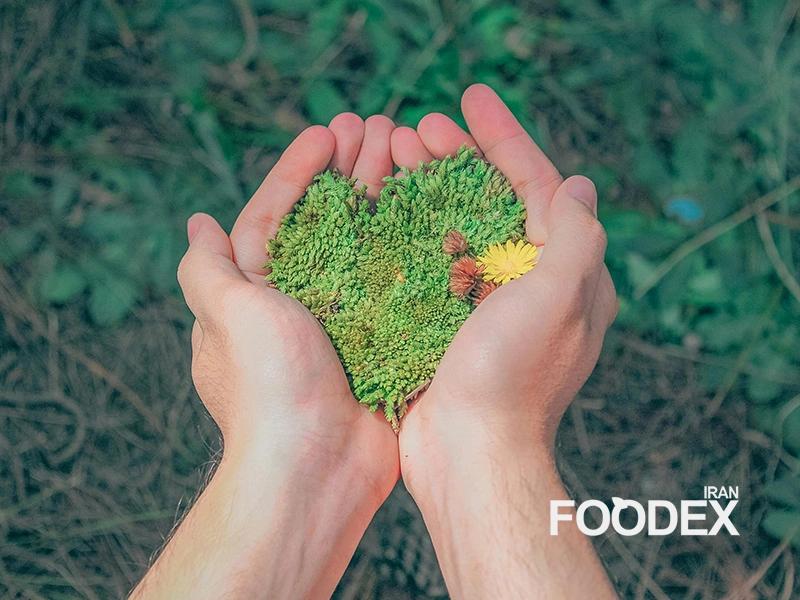 اولین گام برای پایداری در کسب و کارهای صنایع غذایی
