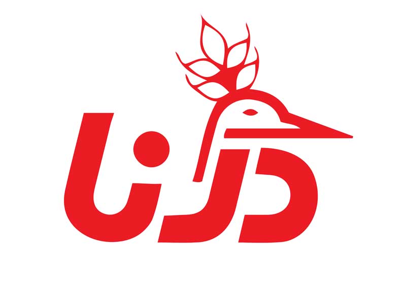 لوگوی درنا