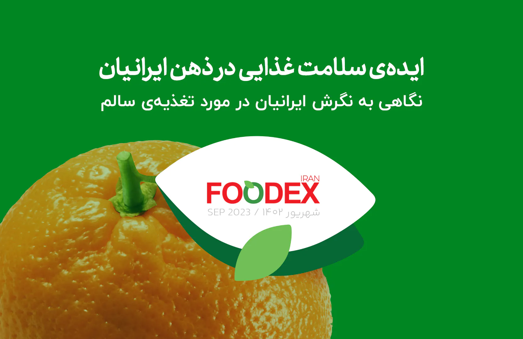 تصویر جلد ایده‌ی سلامت غذایی در ذهن ایرانیان؛ نگاهی به نگرش ایرانیان درباره تغذیه سالم