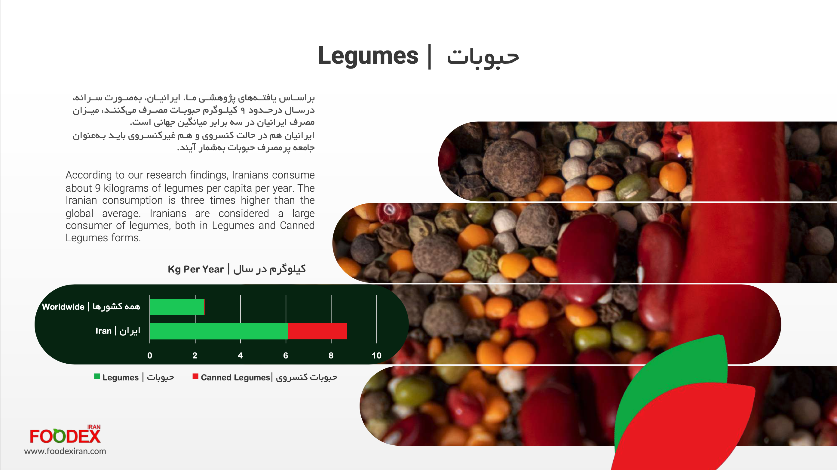 صفحه نمونه 4 از گزارش سرانه مصرف مواد غذایی، بشقاب سلامت ایران