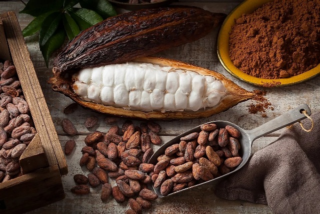 گسترش کاکائو در کشورهای اروپایی و جهان
