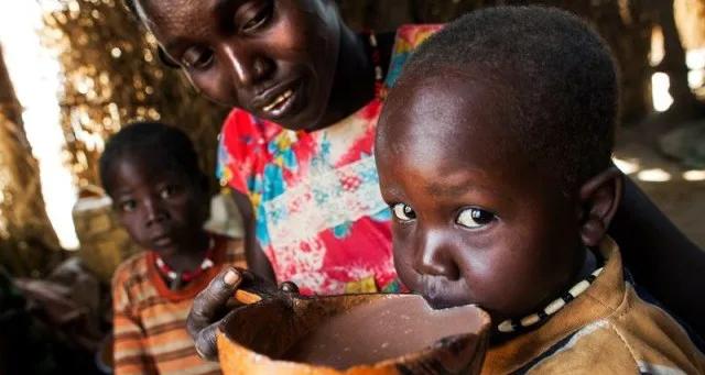 تامین 75درصد موادغذایی جهان با NGOها