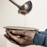 تامین 75درصد موادغذایی جهان با NGOها