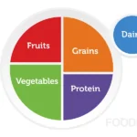 معرفی کامل بشقاب من MyPlate | فودکس ایران