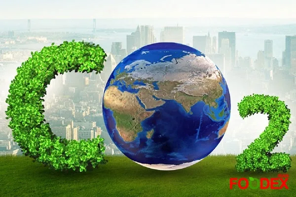 CPGها، کاهش انتشار کربن از طریق محصولات