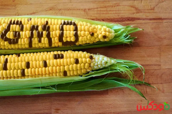 نگاهی به GMOها