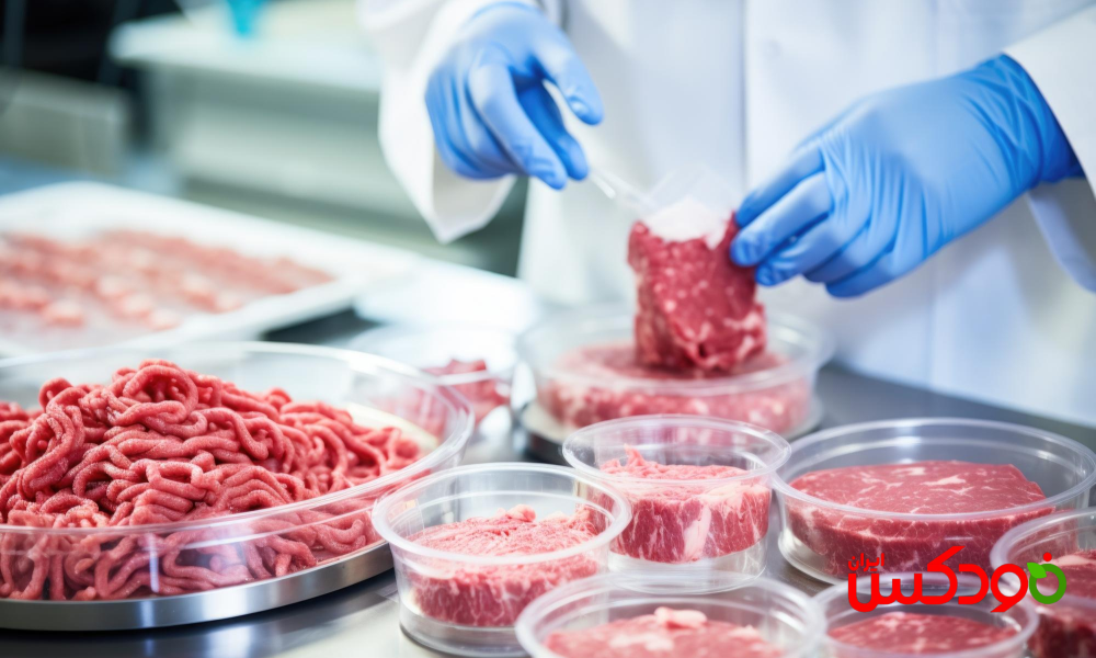 تولید گوشت آزمایشگاهی