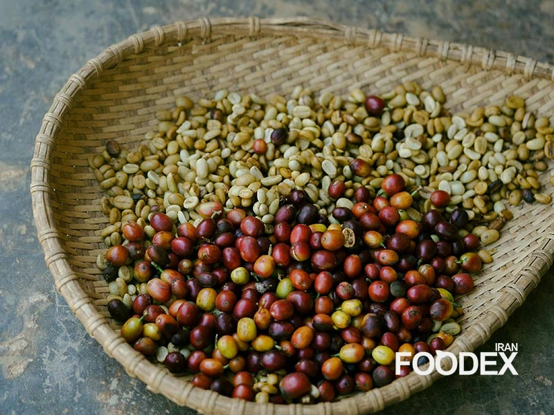 تاریخچه شگفت‌انگیز قهوه |‌فودکس ایران