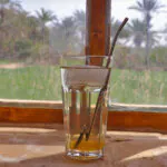 طرز تهیه شربت رژیمی