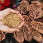 بحران غذا در جهان