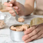 تاریخچه تن ماهی در ایران