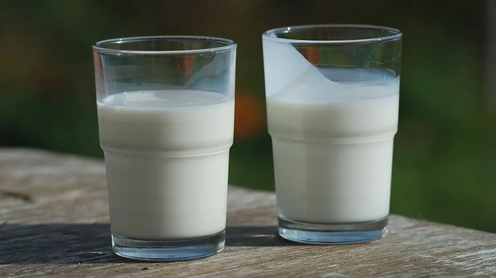 کلسیم دوغ بیشتر است یا شیر؟