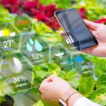 بهبود تولید و امنیت غذا با هوش مصنوعی