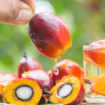 روغن پالم در سلول‌ها بازسازی می‌شود!