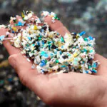 خوردن میکروپلاستیک‌ها و جذب چربی