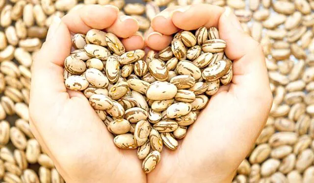 ارزش غذایی لوبیا