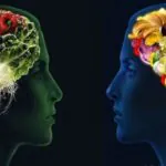 تقویت حافظه با جادوی غذاها