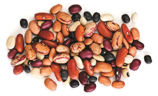 ارزش غذایی لوبیا