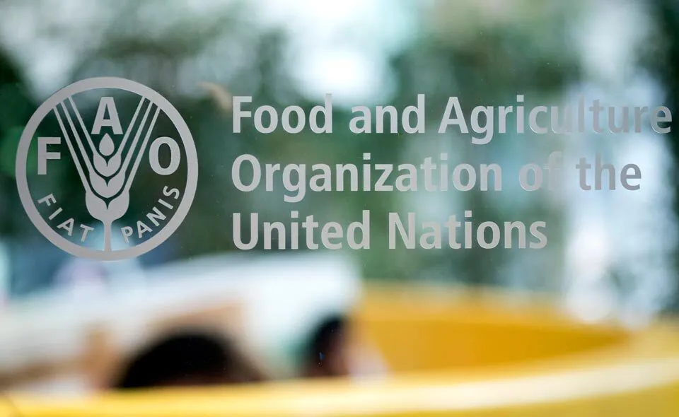 FAO; Universal access to adequate nutrition
