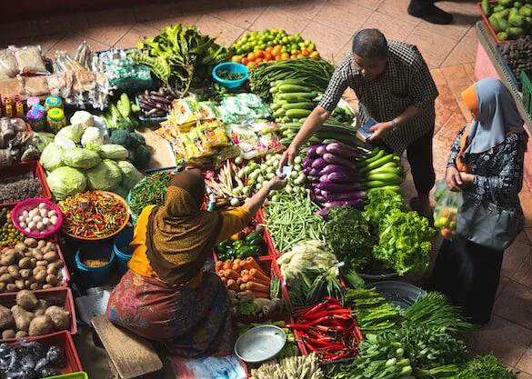 اهداف اصلی فائو