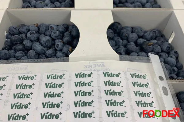 فناوری Vidre+ ویتامین C و آنتی‌اکسیدان بیشتری در مقایسه با توت‌های درمان‌نشده حفظ می‌کند