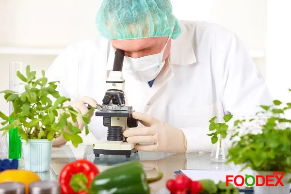 ارزیابی فناوری Vidre+ روی بیش از ۲۰ محصول مختلف