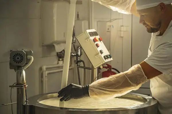 لیست تولیدکنندگان پنیر پیتزا در ایران