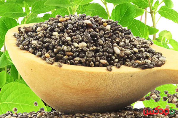 فواید دانه چیا